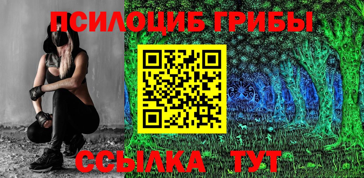 Псилоцибиновые грибы мицелий  Вход с VPN  Псилоцибиновые грибы мицелий  Красноуфимск 