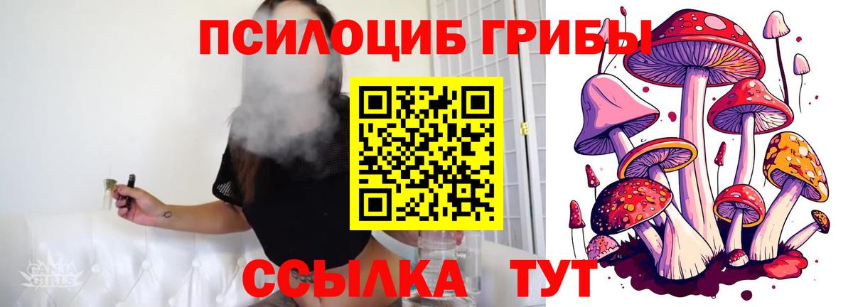 Галлюциногенные грибы мухоморы Красноуфимск